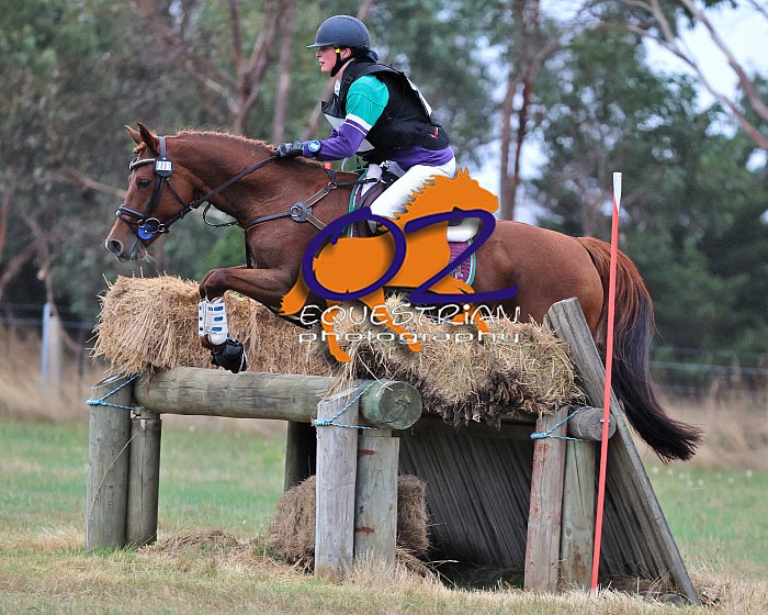 Riddells Creek Easter Horse Trials 2023 2023 Events Derek O'Leary