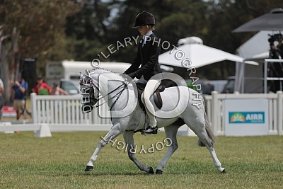 SHCV HOTY 2024