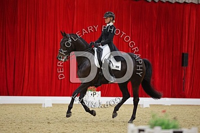 Dressage Festival 2024