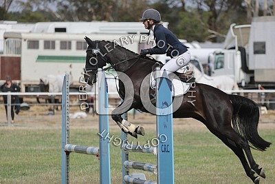 Geelong Horse Trials 2025