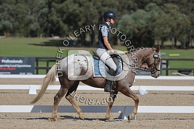 Shirley Heights ANZAC Day HRCAV Dressage 2026