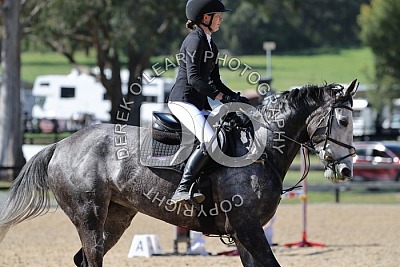 Shirley Heights Showjumping Oct 2026